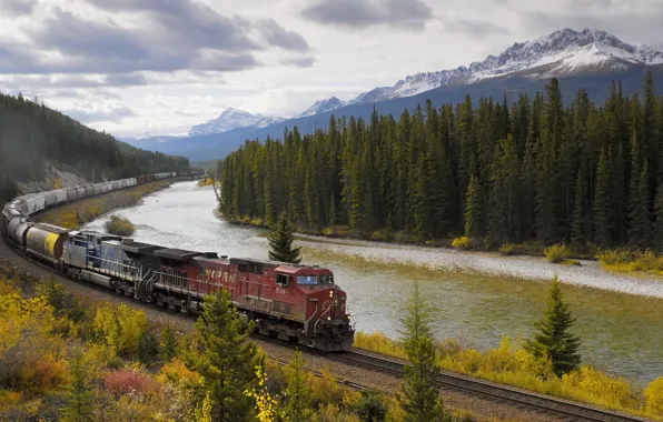 Banff National Park, trees, nature, train, locomotive, Bow Valley Parkway