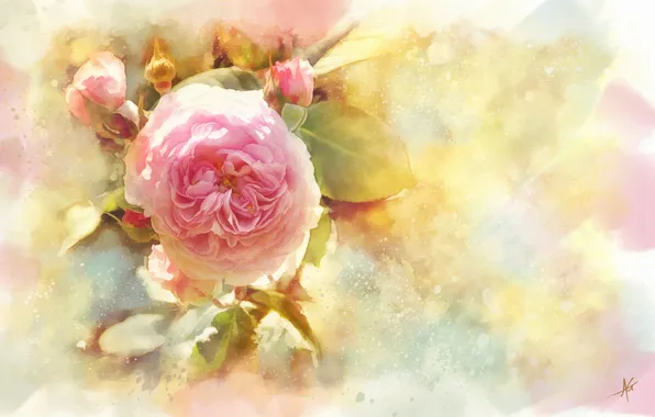 Картинка цветок, роза, акварель, бутоны
