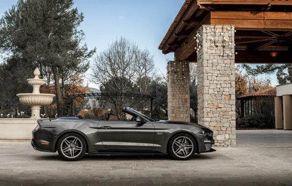 Картинка Ford, стоянка, профиль, кабриолет, 2018, тёмно-серый, Mustang GT 5.0 Convertible