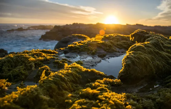 Waves, sky, sea, landscape, coast, nature, sunset, tilt shift