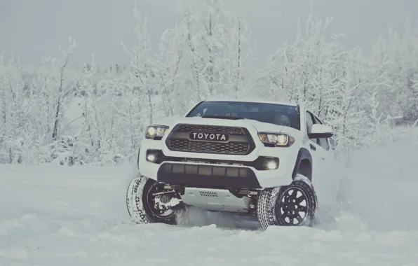 Зима, снег, white, Toyota, пикап, snow, pickup, TRD