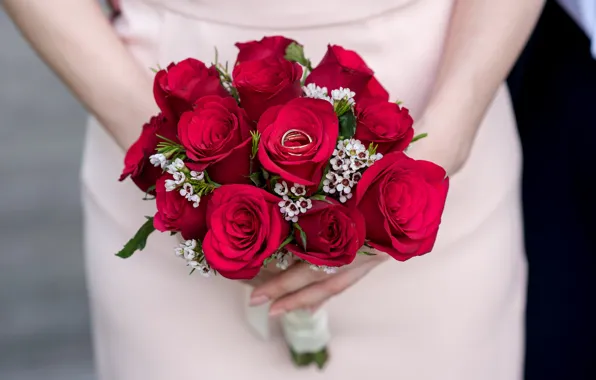 Цветы, розы, букет, кольца, красные, свадьба, помолвка