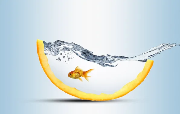 Картинка вода, всплеск, золотая рыбка, светлый фон, water, splash, goldfish, долька апельсина