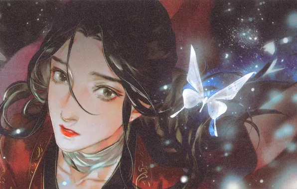 Бабочка, парень, Tian Guan Ci Fu, Lian Xie