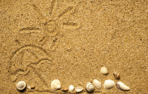 Beach, texture, sand, marine, seashells, песок ракушки