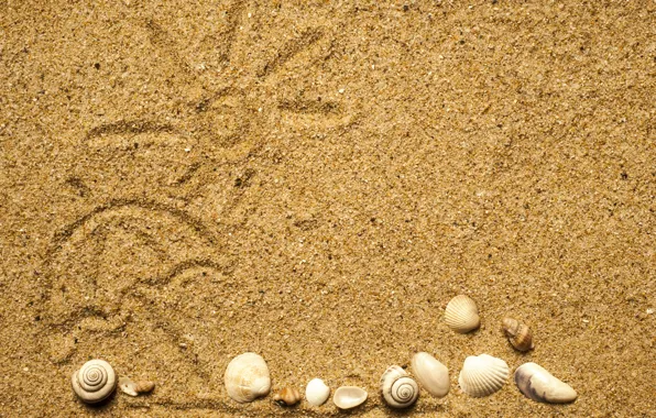 Картинка beach, texture, sand, marine, seashells, песок ракушки