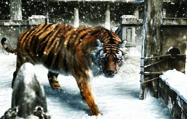 Картинка зима, снег, тигр, рендеринг, идет