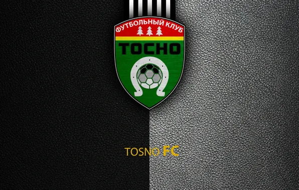 Wallpaper, sport, logo, football, Russian Premier League, Tosno