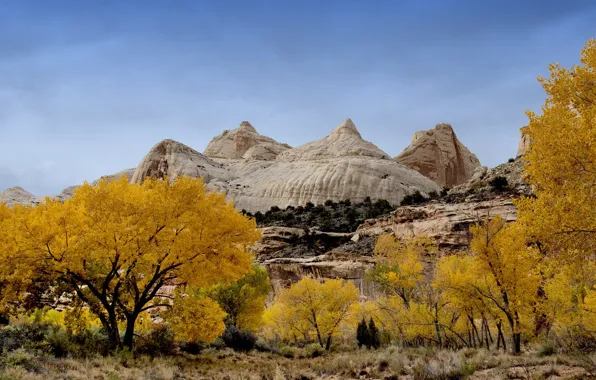 Осень, скалы, Юта, США, Капитол-Риф, Capitol Reef National Park