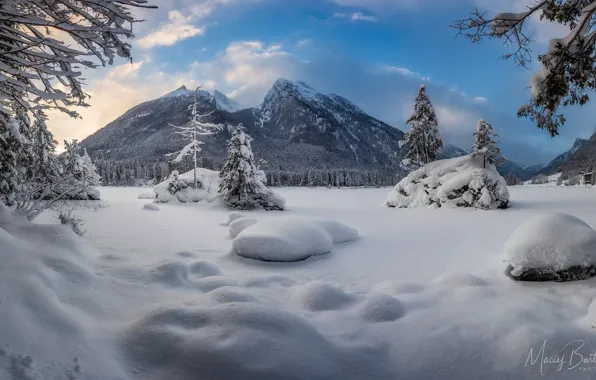 Зима, лес, небо, снег, горы, Германия, Бавария, мороз