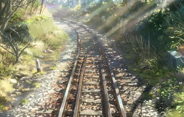 Trees, CGI, Sunlight, Railroad, Screenshot, Rural, Rails, Makoto Shinkai