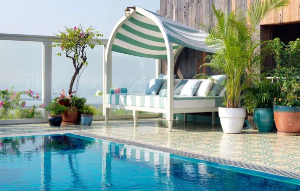 Растения, бассейн, Индия, терраса, Мумбаи, мабель, Soho House Mumbai, Членский клуб и отель