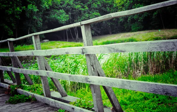 Landscape, Bridge, Ukraine, River, Forrest Park