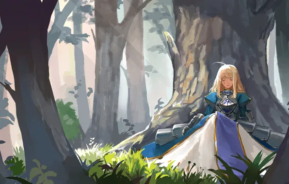 Лес, девушка, рыцарь, сейбер, Fate / Stay Night