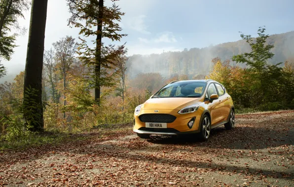 Ford, Желтый, Автомобиль, Fiesta, Active, 2017, Worldwide