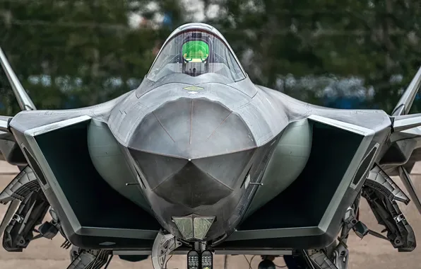Air force, J-20, fighter jet, fighter aircraft