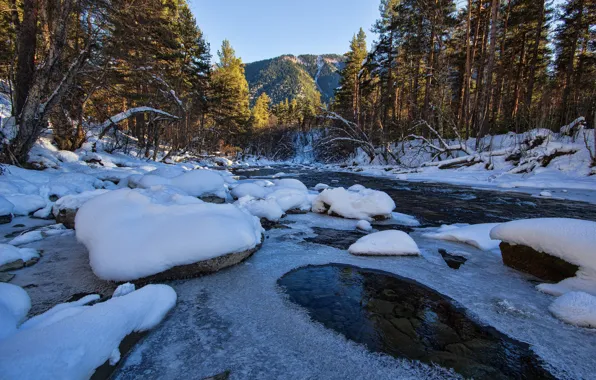 Картинка зима, лес, снег, деревья, река, лёд, Россия, Михаил Мартынов