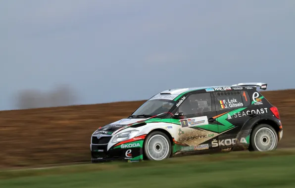 Профиль, Rally, Skoda, Fabia, Loix