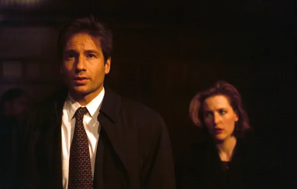 Сериал, The X-Files, Секретные материалы, дана, малдер