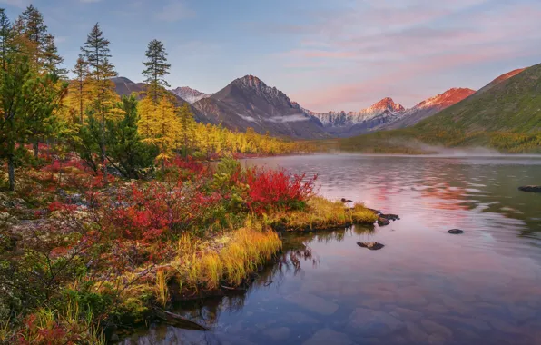Картинка осень, пейзаж, горы, природа, туман, озеро, растительность, утро
