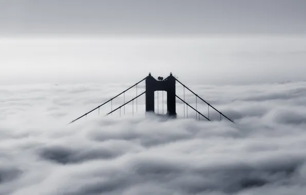 Картинка мост, туман, фото, черно-белое