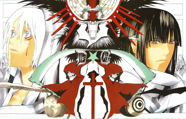 Аниме, арт, парни, D. Gray-man
