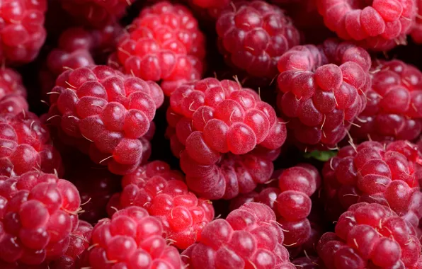 Ягоды, малина, фон, background, Raspberry