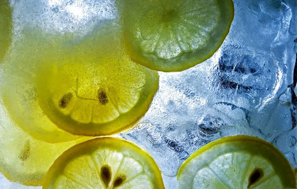 Картинка лед, макро, кусочки, цитрусы, лимоны