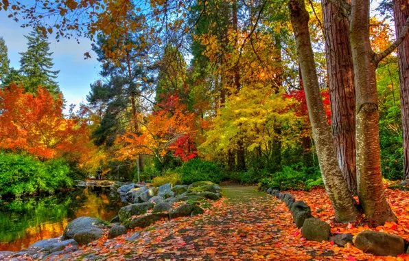 Картинка лес, деревья, пейзаж, Природа, forest, river, trees, landscape