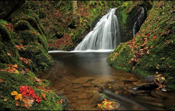 Картинка осень, лес, водопад, Германия, Germany, Rheinland-Pfalz