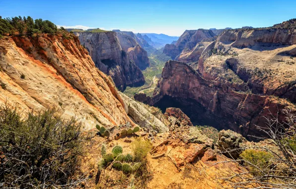 Картинка Юта, США, Zion National Park, Washington, Utah