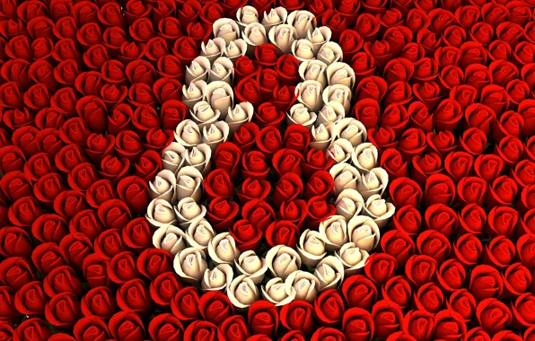 Картинка цветы, розы, 8 марта, красный фон