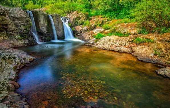 Зелень, лес, солнце, деревья, ручей, камни, водопад, Бразилия