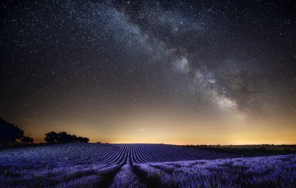 Картинка поле, небо, пейзаж, ночь, природа, Франция, звёзды, лаванда
