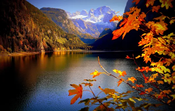 Картинка осень, листья, горы, ветки, озеро, Австрия, Альпы, Austria