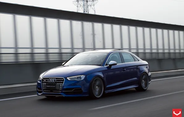 Audi, Vossen