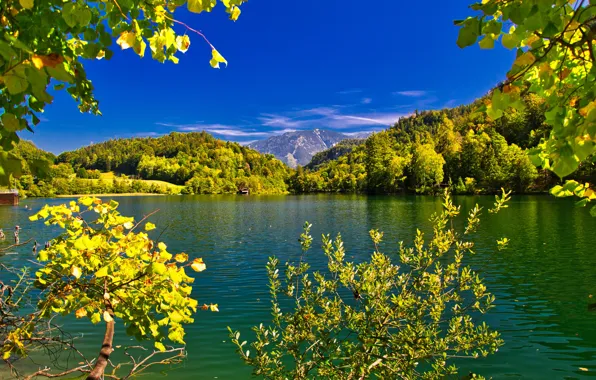 Картинка деревья, пейзаж, горы, ветки, природа, озеро, Германия, Бавария