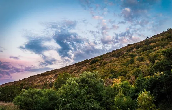 Лес, небо, облака, горы, природа, зеленный