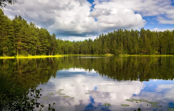 Картинка зелень, лес, небо, вода, облака, деревья, озеро, отражение
