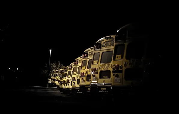 Картинка ночь, город, автобусы