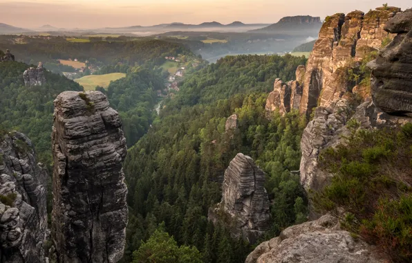 Горы, Германия, Лес, Парк, парк Саксонская Швейцария