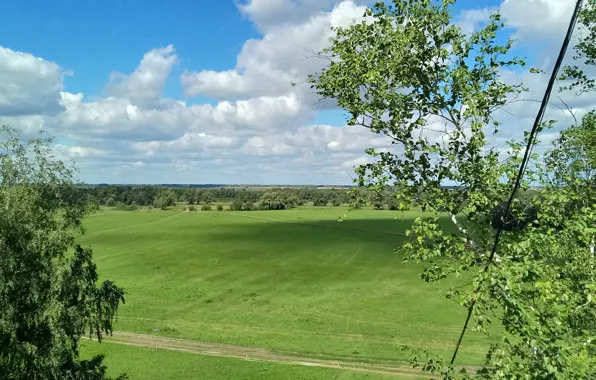 Поле, небо, облака, пейзаж nature