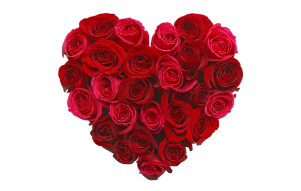 Картинка цветы, сердце, розы, love, бутоны, heart, romantic, roses