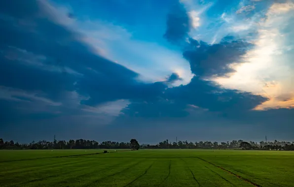Wallpaper, nature, High Definition