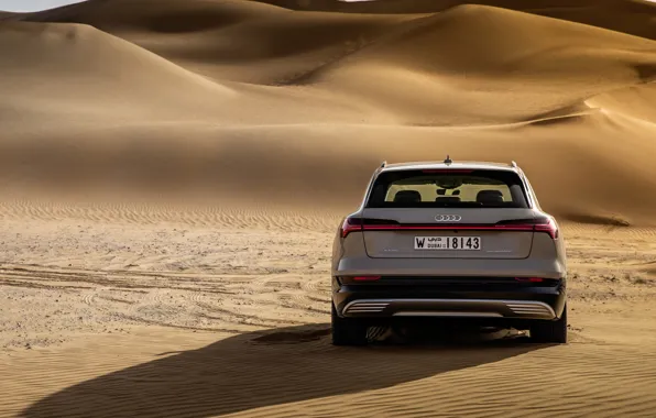 Audi, вид сзади, кроссовер, E-Tron, 2019, электрокроссовер