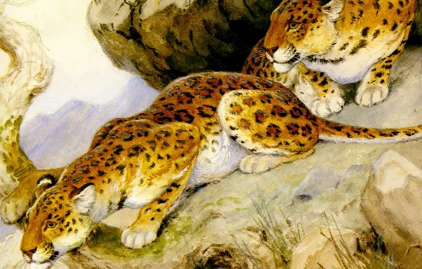 Хищники, арт, живопись, леопарды, Georges-Frederic Rotig