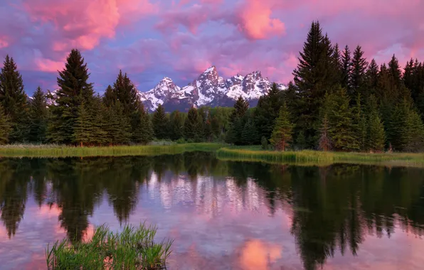 Лес, небо, облака, деревья, горы, озеро, отражение, USA
