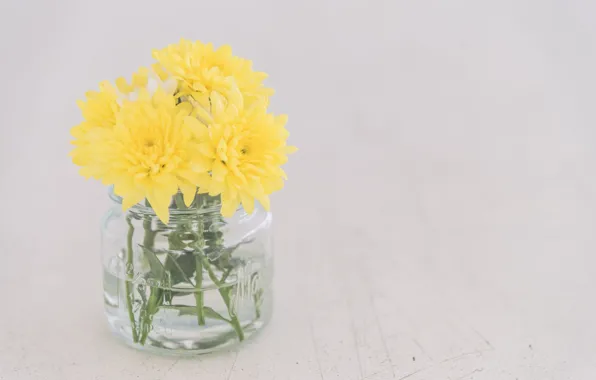Цветы, желтые, ваза, Flower, vase