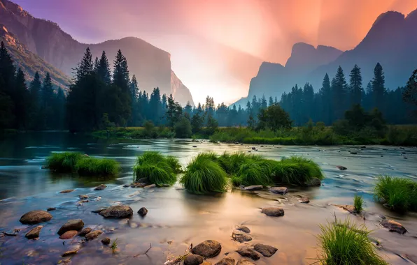 Красота, Горы, Горизонт, Утро, Сосны, Долина, Солнечные лучи, Morning