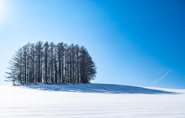 Зима, снег, природа